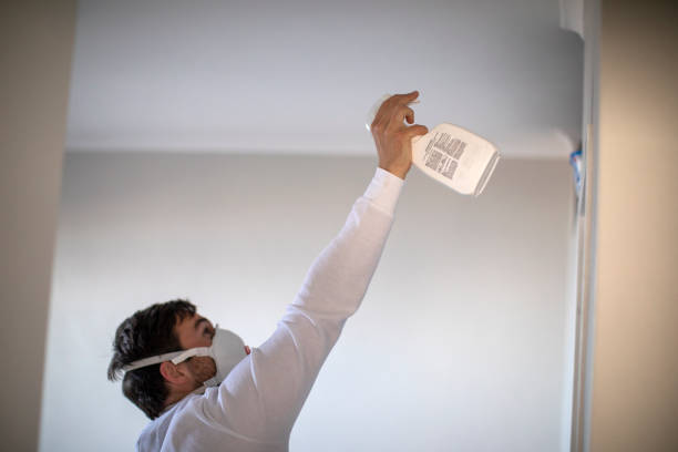 Best Mold Damage Repair  in Bridgeport, NY