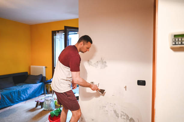 Best Certified Mold Removal  in Bridgeport, NY